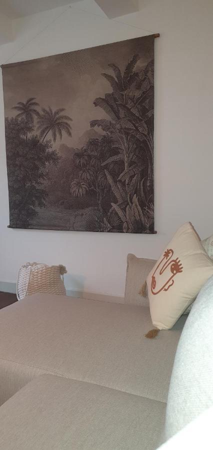Santocha : Appartement En Plein Coeur De Ville ! Carcassonne Exterior foto